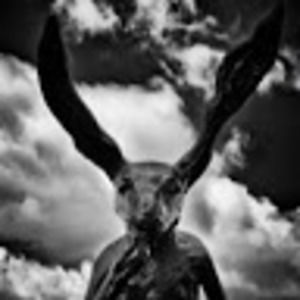 Meet your Posher, Dankomcspain